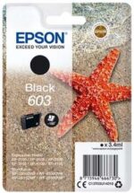 Epson 603 Nero Cartuccia d'inchiostro originale - C13T03U14010