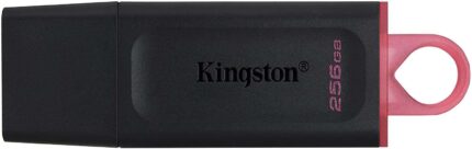 Kingston DataTraveler Exodia Memoria USB 256 GB - USB 3.2 Gen 1 - Con cappuccio - Gancio per portachiavi - Colore nero (pendrive)