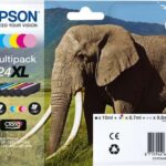 Epson T2438 (24XL) Confezione da 6 cartucce d'inchiostro originali - C13T24384011