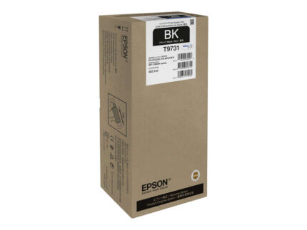 Epson T9731 Nero Cartuccia d'inchiostro originale - C13T973100