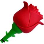 TechOneTech Rosa One Memoria USB 2.0 32 GB (Pendrive)