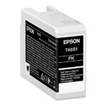 Epson T46S1 Nero Foto Cartuccia d'inchiostro originale - C13T46S100