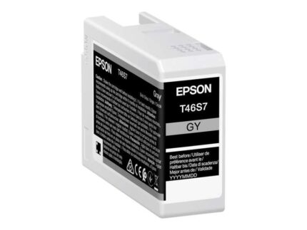 Epson T46S7 Grigio Cartuccia d'inchiostro originale - C13T46S700