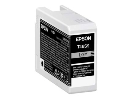 Epson T46S9 Grigio chiaro Cartuccia d'inchiostro originale - C13T46S900