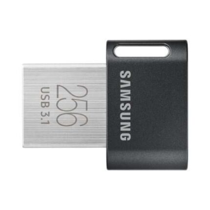 Samsung Fit Plus Memoria USB 3.1 256 GB (chiavetta USB)