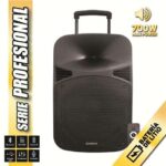 Coolsound Serie Pro Altoparlante autoamplificato Bluetooth 15" 700W Max Power con batteria - USB