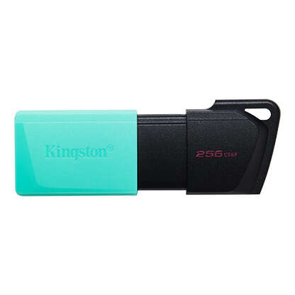Kingston DataTraveler Exodia M Memoria USB 256 GB - USB 3.2 Gen 1 - Cappuccio mobile - Gancio per portachiavi - Colore nero/turchese (pendrive)