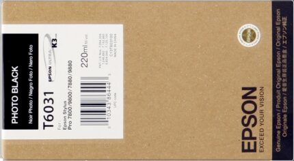 Epson T6031 Nero Foto Cartuccia d'inchiostro originale - C13T603100