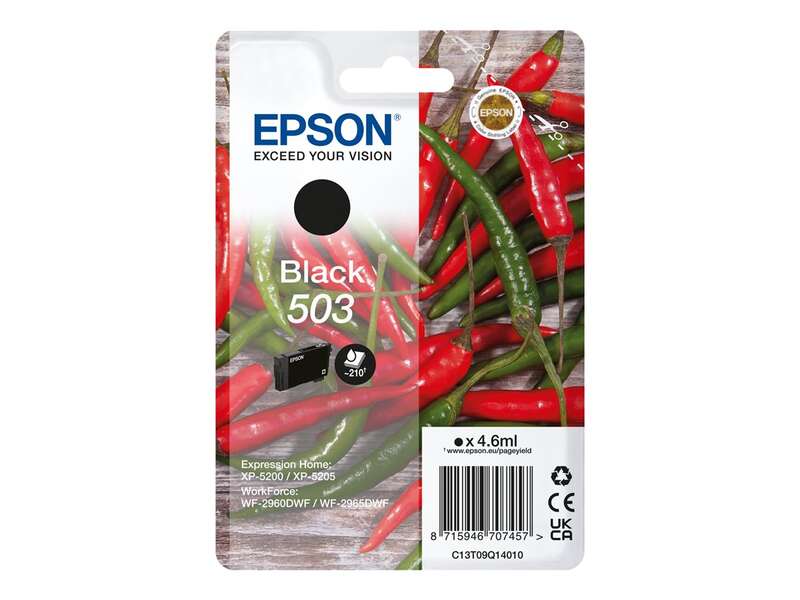 Epson 503 Nero Cartuccia d'inchiostro originale - C13T09Q14010 Epson 503 Nero Cartuccia d'inchiostro originale - C13T09Q14010