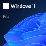 Microsoft Windows 11 Professional 64 bit OEM