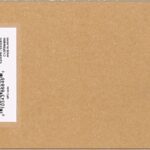 Epson T5968 Nero opaco Cartuccia d'inchiostro originale - C13T596800