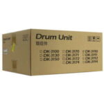 Kyocera DK3190 Nero Tamburo originale - 302T693031/302T693030 (Drum)