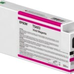 Epson T54X3 Magenta vivido Cartuccia d'inchiostro originale - C13T54X300