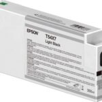 Epson T54X7 Nero chiaro Cartuccia d'inchiostro originale - C13T54X700