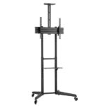 Ewent Supporto da pavimento per TV fino a 70" - Vassoio ausiliario - Altezza regolabile - Gestione dei cavi - VESA massimo 600x400 - Peso massimo 50 kg - Ruote con blocco - 871x678x1966 mm - Colore nero