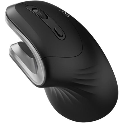 Mouse wireless Ewent - Ergonomico - Impugnatura verticale - 1000 dpi - USB-A 2