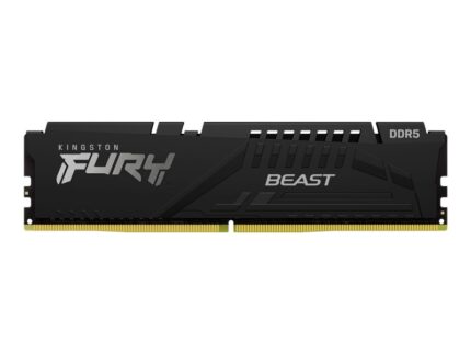 Kingston Fury Beast Memoria RAM DDR5 5600 MHz 16 GB CL40