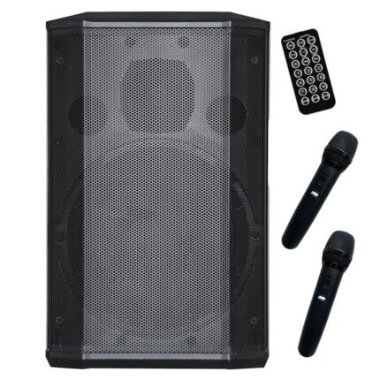 Coolsound Pro 600 Altoparlante autoamplificato Bluetooth 500 W 8" 100 W RMS con batteria - True Wireless - USB