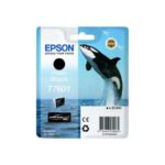 Epson T7601 Nero Cartuccia d'inchiostro originale per foto - C13T76014010