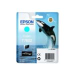 Cartuccia d'inchiostro originale Epson T7602 Ciano - C13T76024010