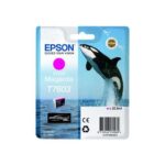 Cartuccia d'inchiostro originale Epson T7603 Magenta - C13T76034010