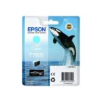 Epson T7605 Ciano chiaro Cartuccia d'inchiostro originale - C13T76054010