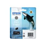 Cartuccia d'inchiostro originale Epson T7607 Nero Light - C13T76074010