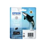 Epson T7609 Nero Light Light Cartuccia d'inchiostro originale - C13T76094010