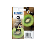 Epson 202XL Nero Foto Cartuccia d'inchiostro originale - C13T02H14010