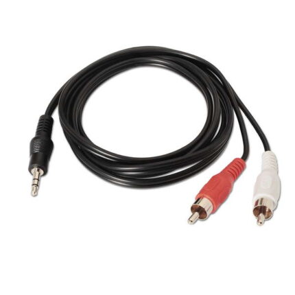 5/M-2xRCA maschio - 1