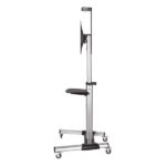 Aisens Supporto da pavimento Eco con ruote - Vassoio per DVD e supporto per videocamera (TV da 37"-70") - Colore argento - immagine 3
