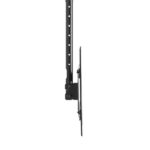 Aisens Supporto a soffitto girevole - inclinabile - estensibile (TV 37"-80", 50 kg) - Colore nero - immagine 5