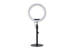 Kensington A1010 Supporto da tavolo telescopico per microfoni per videoconferenze, webcam e sistemi di illuminazione - Estensibile da 305 a 483 mm - Organizzazione dei cavi - Base antiscivolo - Configurazione professionale - immagine 4