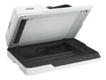Epson WorkForce DS-1630 Scanner per documenti A4 Duplex 1200 dpi - Velocità di scansione 25 ppm - immagine 4