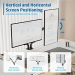 Ewent Supporto da tavolo con contrappeso girevole e inclinabile per monitor/TV 16 kg - 2 bracci - 17-32" - Colore nero - immagine 4