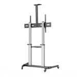 Ewent EW1592 Supporto da pavimento per schermi interattivi/TV da 60 a 100" - Vassoio multiuso - Peso max. 100 kg - Altezza e inclinazione regolabili - Ruote - Colore grigio - immagine 2