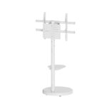 Ewent Supporto da pavimento per TV fino a 86" - Vassoio ausiliario - Altezza regolabile - Gestione dei cavi - VESA massimo 600x400 - Peso massimo 50 kg - Ruote per lo spostamento - 500x500x1340 mm - Colore bianco - immagine 2