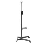 Ewent Supporto da pavimento per TV fino a 70" - Vassoio ausiliario - Altezza regolabile - Gestione dei cavi - VESA massimo 600x400 - Peso massimo 50 kg - Ruote con blocco - 871x678x1966 mm - Colore nero - immagine 2