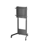 Ewent Supporto da pavimento per TV fino a 100" - Altezza regolabile - Gestione dei cavi - VESA massimo 800x600 - Peso massimo 95 kg - Ruote per lo spostamento - 1038x828x1950 mm - Colore nero opaco - immagine 2