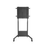 Ewent Supporto da pavimento per TV fino a 100" - Altezza regolabile - Gestione dei cavi - VESA massimo 800x600 - Peso massimo 95 kg - Ruote per lo spostamento - 1038x828x1950 mm - Colore nero opaco - immagine 3