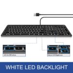 Tastiera Ewent con cavo USB - Disposizione slovena QWERTZ SI - Retroilluminazione - Tasti a basso profilo e silenziosi - Cavo da 1,5 m - Colore nero - immagine 3