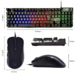 Ewent Pack Tastiera + Mouse Gaming - Illuminazione RGB - Disposizione italiana QWERTY IT - 3600 dpi - 12 tasti multimediali - Cavo da 1,5 m - Colore nero - immagine 4
