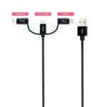 MicroUSB