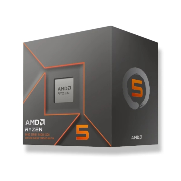 AMD RYZEN 5 8500G BOX Processore 3