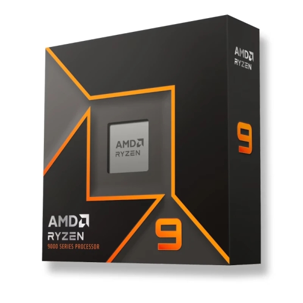 AMD RYZEN 9 9900X Processore 4