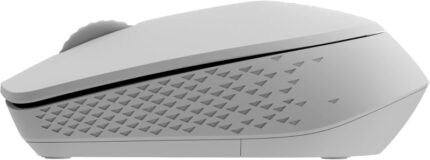 4 GHz - 1300 DPI - Autonomia 9 mesi - Colore grigio