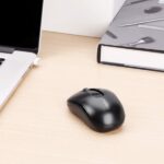 Rapoo M10 Plus Mouse wireless - 2,4 GHz - 1200 DPI - Autonomia 12 mesi - Colore nero - immagine 3