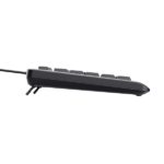 Trust Primo Tastiera Full-Size con cavo USB-C - Retroilluminazione LED - Protezione contro gli schizzi - 104 tasti silenziosi - Adattatore USB-A - 22x184x436 mm - Colore nero - immagine 2