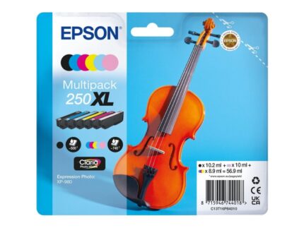 Epson 250XL 6 confezioni di cartucce d'inchiostro originali - C13T16P84010