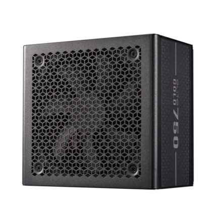 Cooler Master Elite Gold Alimentatore 80+ Gold 750 W - ATX 3.1 - PCIe Gen 5.1 - PFC attivo - Completamente modulare
